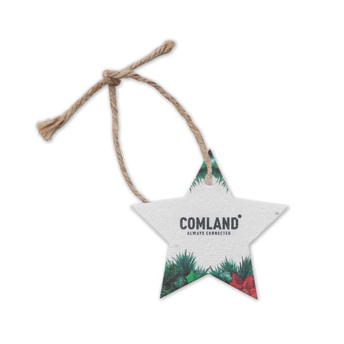 Seed paper star ornament